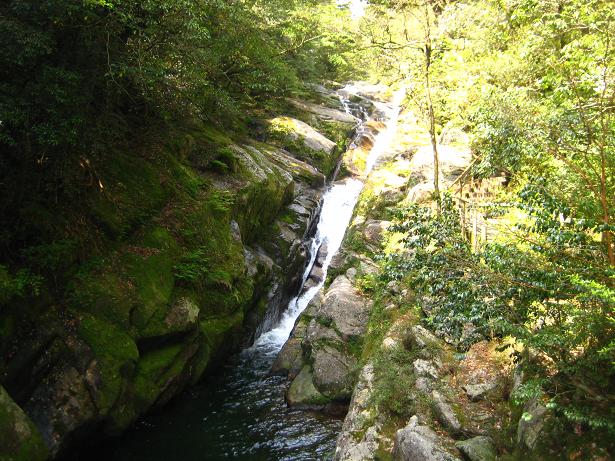c0177527_2394585.jpg