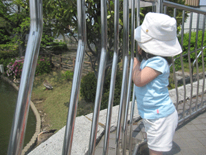 a0109029_23184484.gif