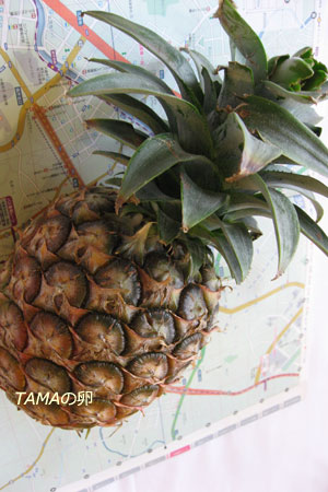 c0024729_215727100.jpg