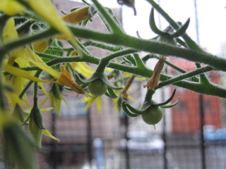 e0152330_23111215.jpg
