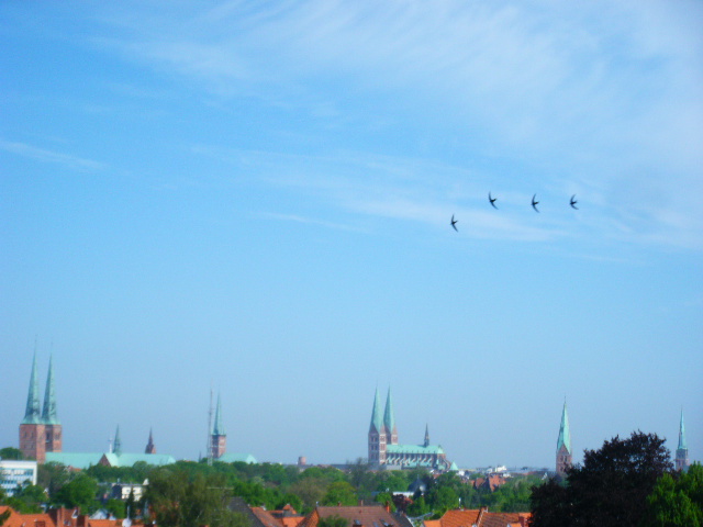f0210340_36396.jpg