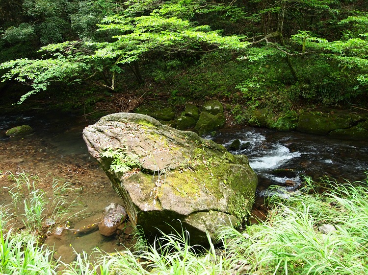 a0146442_22315173.jpg