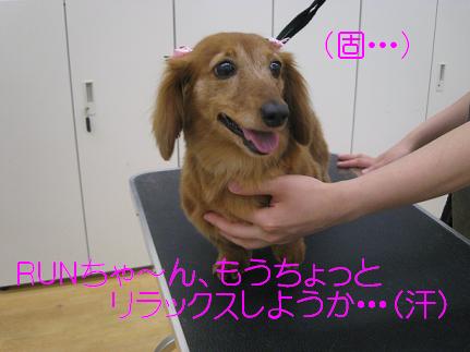 c0206342_15445824.jpg
