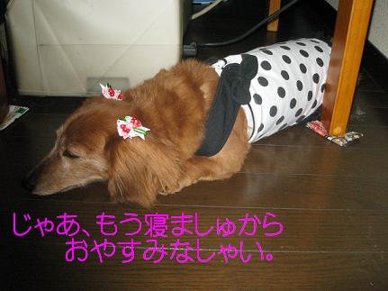 c0206342_1555961.jpg