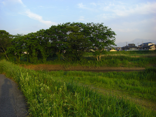 b0088444_21341691.jpg