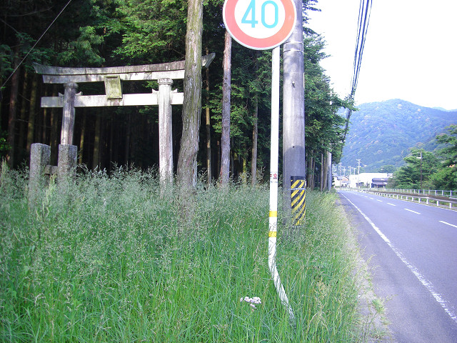 b0088444_21383161.jpg
