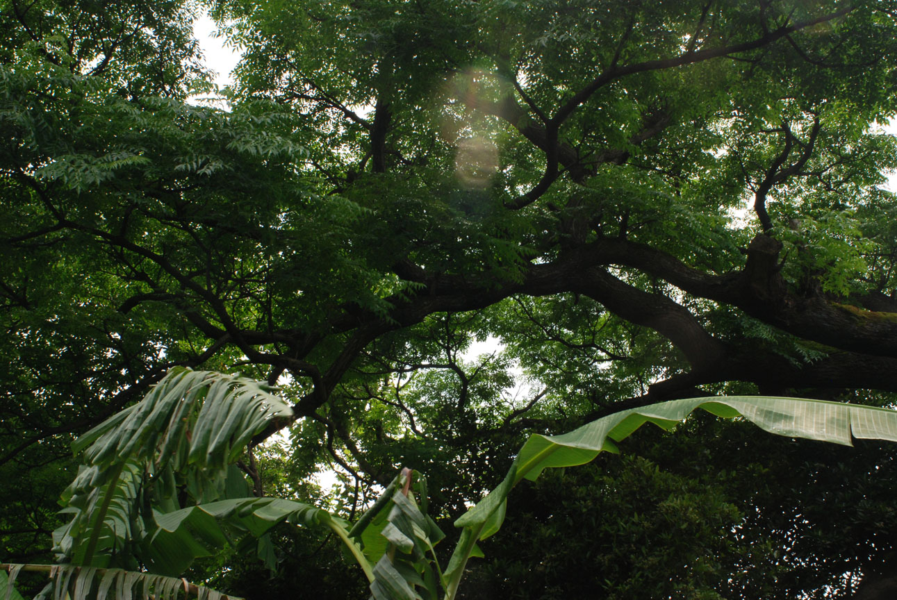 f0229844_2221272.jpg