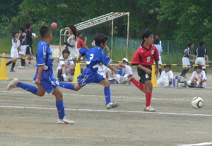 e0172950_1616772.jpg