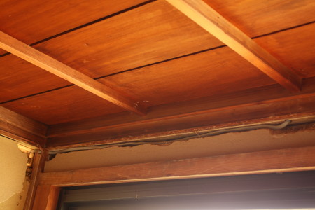 c0074553_883666.jpg
