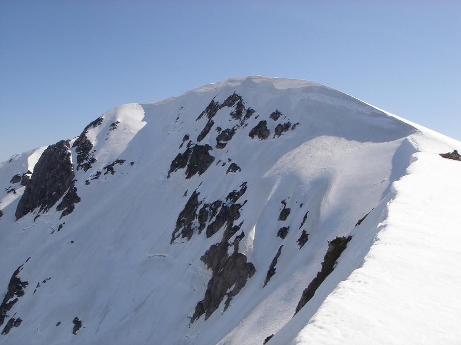f0209354_2012043.jpg