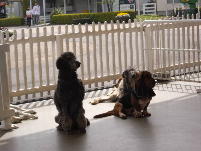 d0116059_22395246.jpg