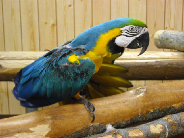 d0116059_22511266.jpg