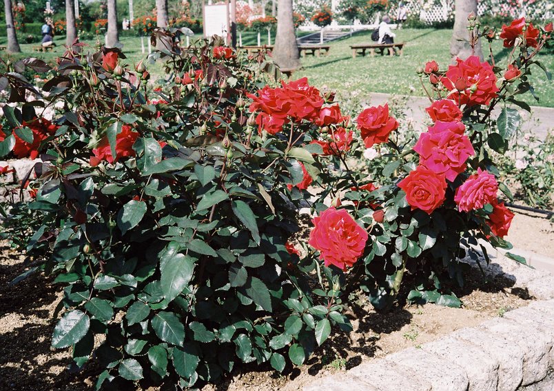 f0209159_20155791.jpg