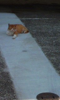 c0047860_13201064.jpg