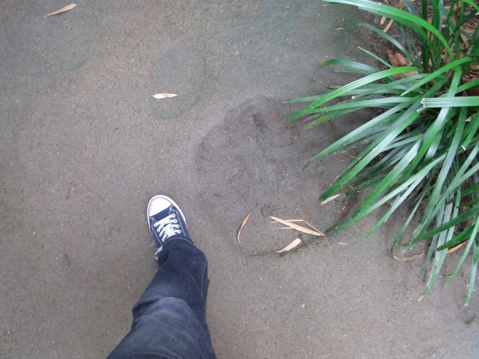 c0182661_22492511.jpg