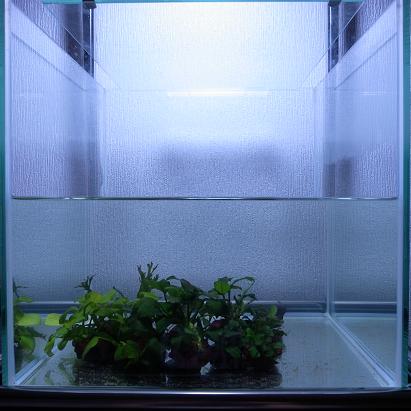 スネール駆除と ストック水槽の植栽イメージ Shape Of My Aquarium