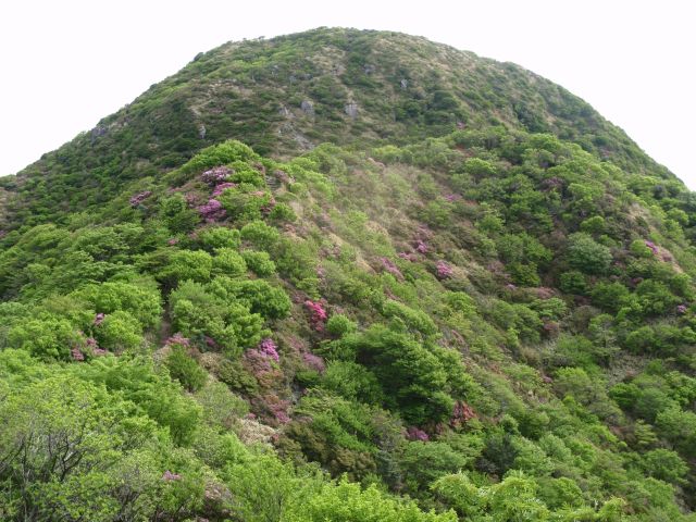 c0042869_19103628.jpg