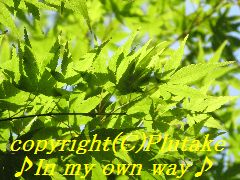 b0081270_121544100.jpg