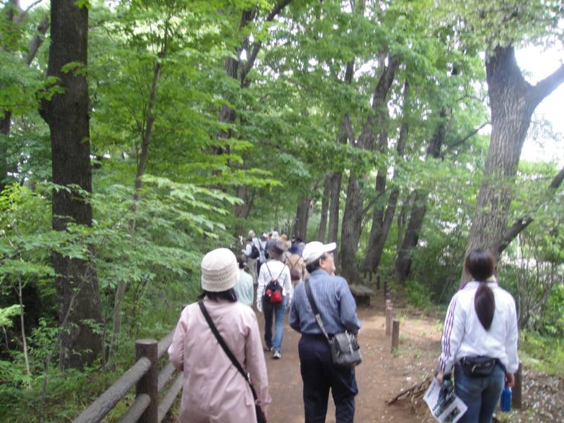 f0059673_2153551.jpg