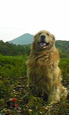 b0003483_9263954.jpg