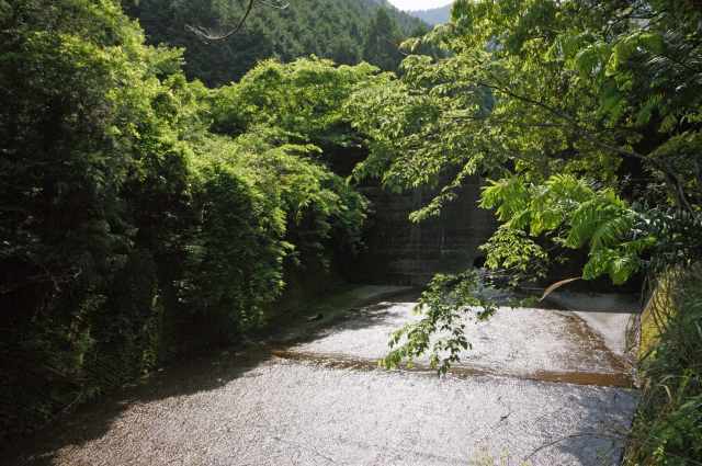 d0045383_10543114.jpg