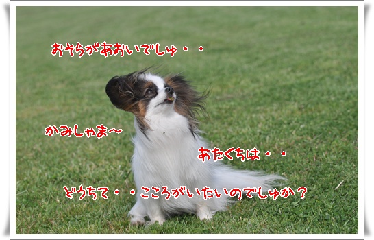 c0075585_7541421.jpg
