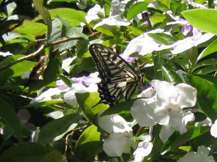 c0132387_23493683.jpg