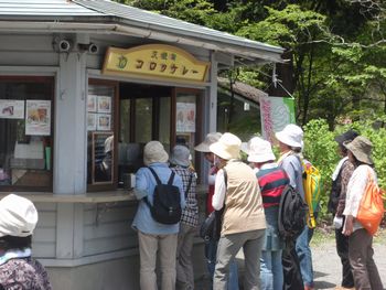 湖畔の森をてーくてく_a0096989_20594187.jpg