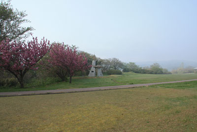 b0119190_18242969.jpg