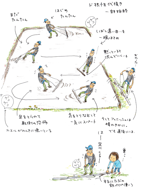 f0236291_1764266.gif