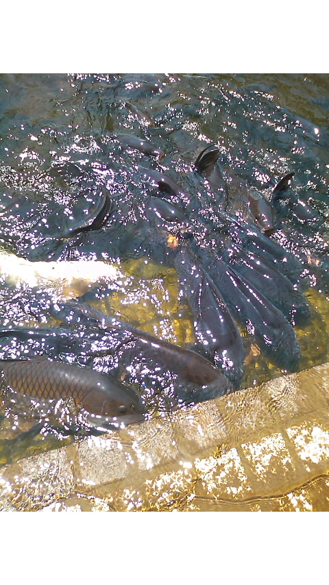 c0216392_15542597.jpg