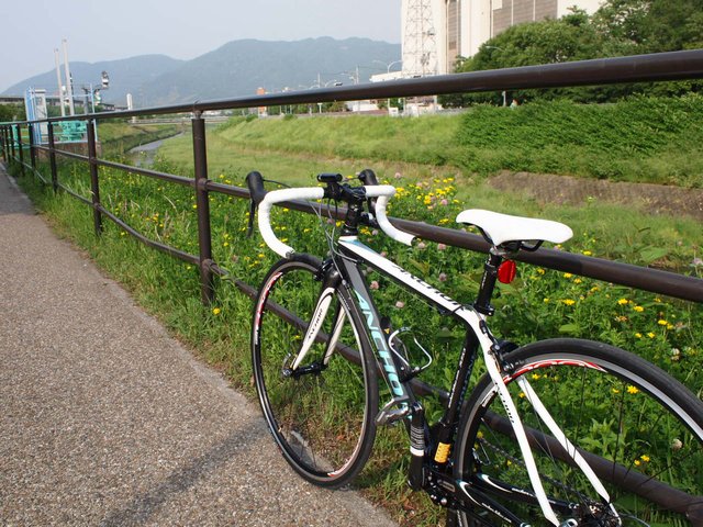 e0111793_0282195.jpg
