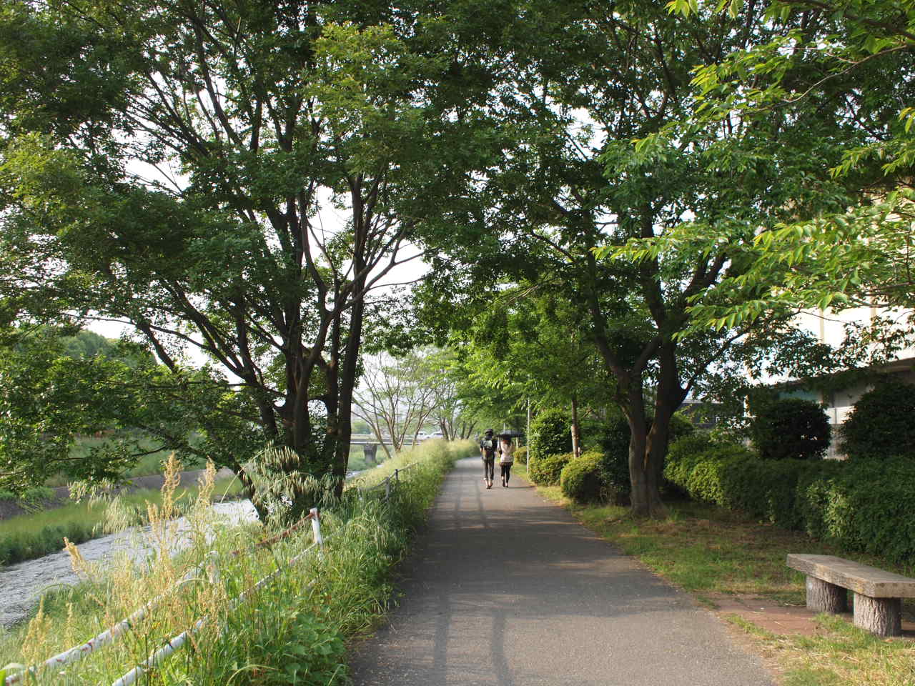 e0111793_0352627.jpg