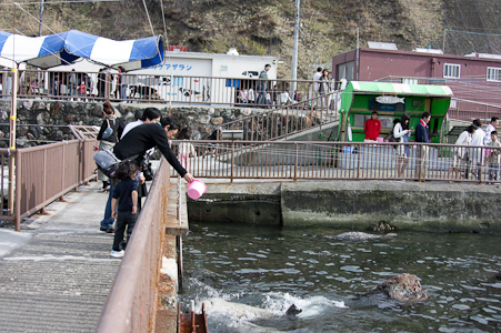 c0011696_841330.jpg