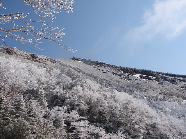 c0147398_0135429.jpg