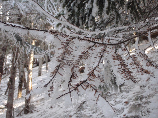 c0147398_013954.jpg