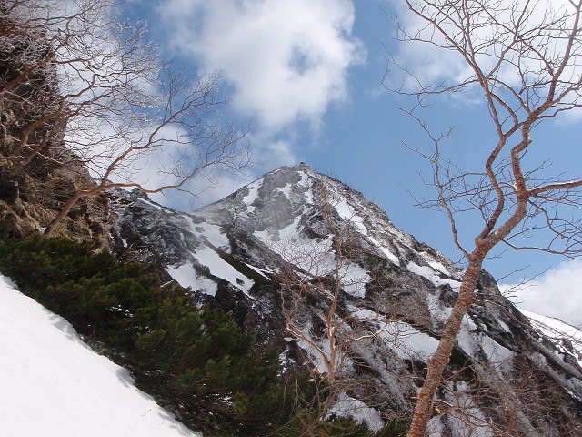 c0147398_0251375.jpg