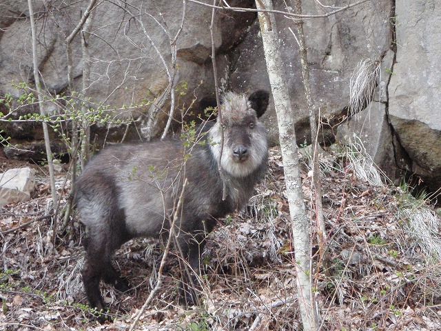 c0147398_027917.jpg