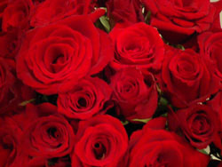 b0059000_1112892.jpg