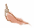 d0090300_02020.gif