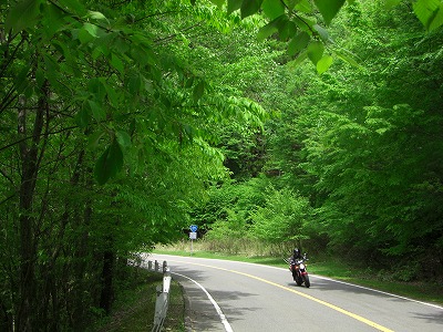 c0125501_20113163.jpg