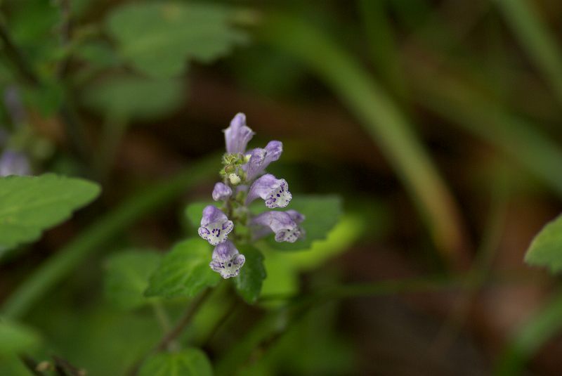 b0174905_4532520.jpg