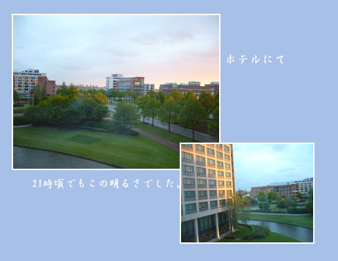 c0051105_1536380.jpg