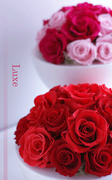b0111306_2121149.gif