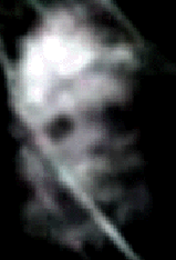 e0103408_13163089.gif