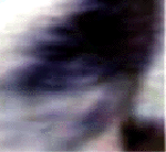 e0103408_13241245.gif