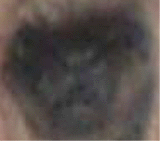 e0103408_13244173.gif
