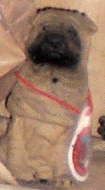 e0103408_1325247.gif