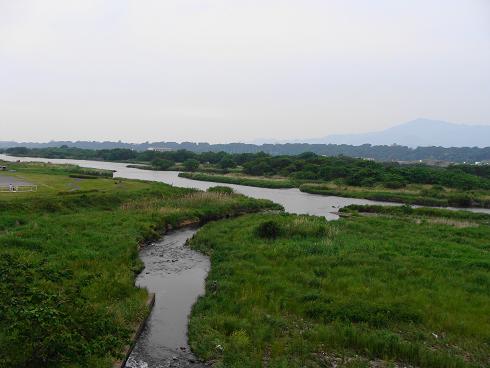 e0123808_5213742.jpg