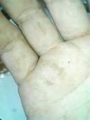 f0127408_2310383.jpg